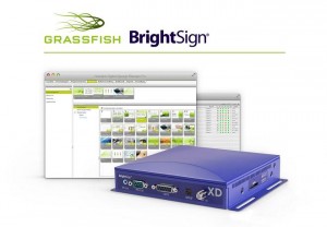 Grassfish und BrightSign kooperieren