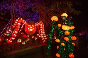 Elation fixtures illuminate Dollywood’s “Great Pumpkin LumiNights”