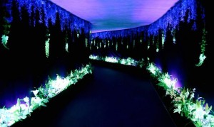 MX Événement and Chauvet DJ help Design Aglaé create a luminescent floral display for Euro Disney