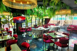 Exacting Diseno unite Martin Audio family at Coco Dubai
