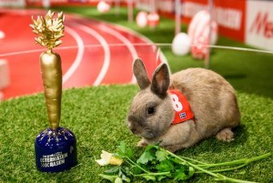 MMC Studios realisieren erstes „Euro Osterhasen-Rasen“ von Media Markt