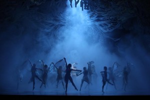 Martin Mac III Profile für „A Folk Tale“ mit dem Royal Danish Ballet 