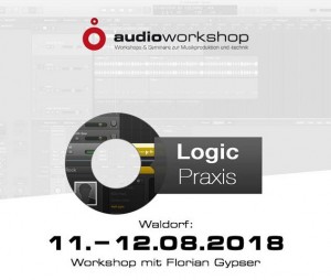 „Logic Praxis“-Seminar im August in Waldorf