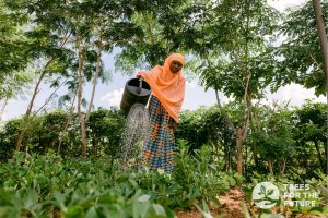 Kooperation zwischen Cordial und „Trees For The Future“