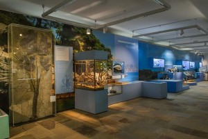 Schnick-Schnack-Systems beleuchtet Ausstellung im Landesmuseum Hannover