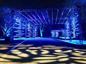 Corona: Over 700 Elation lights for 2020 Illumination - Tree Lights at The Morton Arboretum