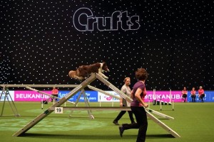 S+H supplies LED starcloth for ‘Crufts’