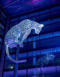 Anolis fixtures illuminate leopard Poised in Aberdeen