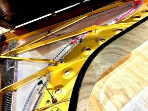 Richard Meredith selects DPA and Wisycom for “The Piano”