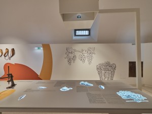 Vioso stellt Technologie für immersive Ausstellung in portugiesischem Museum