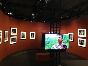 Amazônia Exhibition at Palais des Papes illuminated with Chauvet